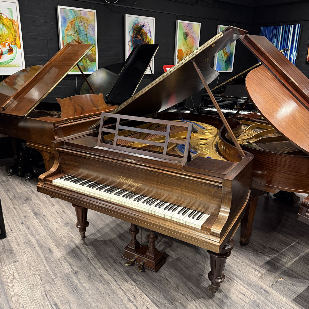 Used | Bluthner Style 9 | Grand Piano  | Rosewood  | 64724